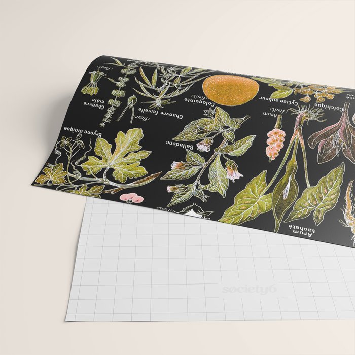 Adolphe Millot - Plantes dangereuses B (dangerous plants B) Wrapping Paper Gallery Image 2