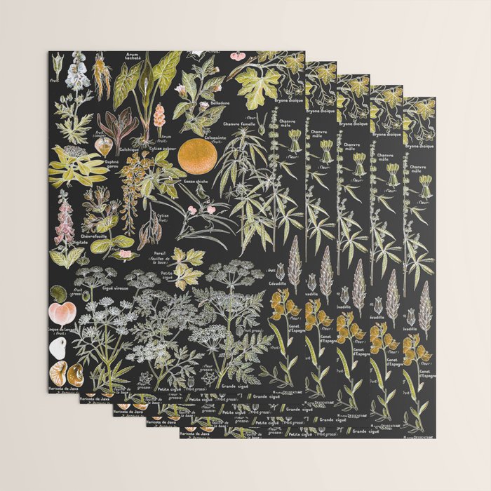 Adolphe Millot - Plantes dangereuses B (dangerous plants B) Wrapping Paper Gallery Image 3