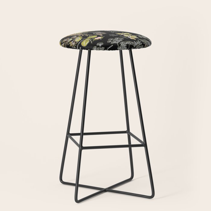 Adolphe Millot - Plantes dangereuses B (dangerous plants B) Stool Gallery Image 1