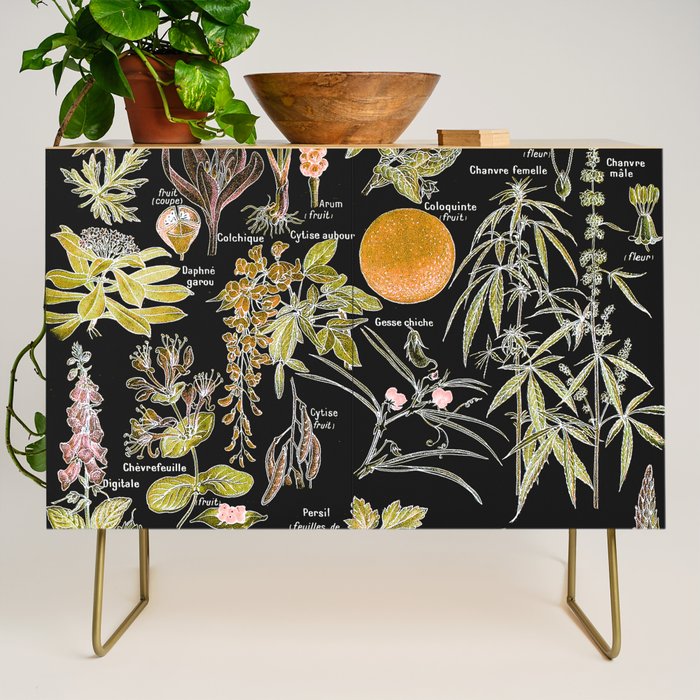 Adolphe Millot - Plantes dangereuses B (dangerous plants B) Credenza Gallery Image 1