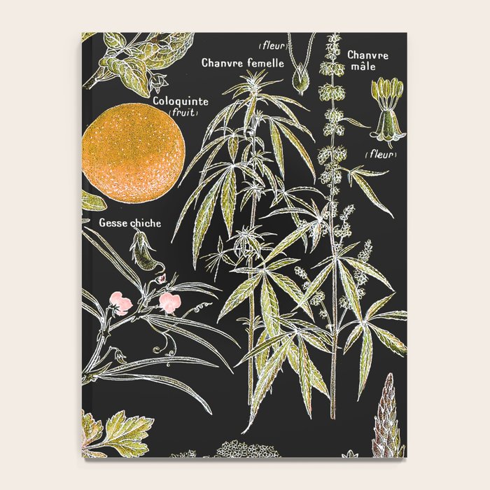 Adolphe Millot - Plantes dangereuses B (dangerous plants B) Notebook Gallery Image 4