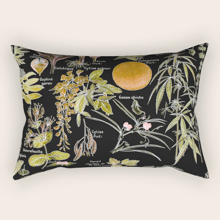 Adolphe Millot - Plantes dangereuses B (dangerous plants B) Rectangular Pillow Gallery Image 1