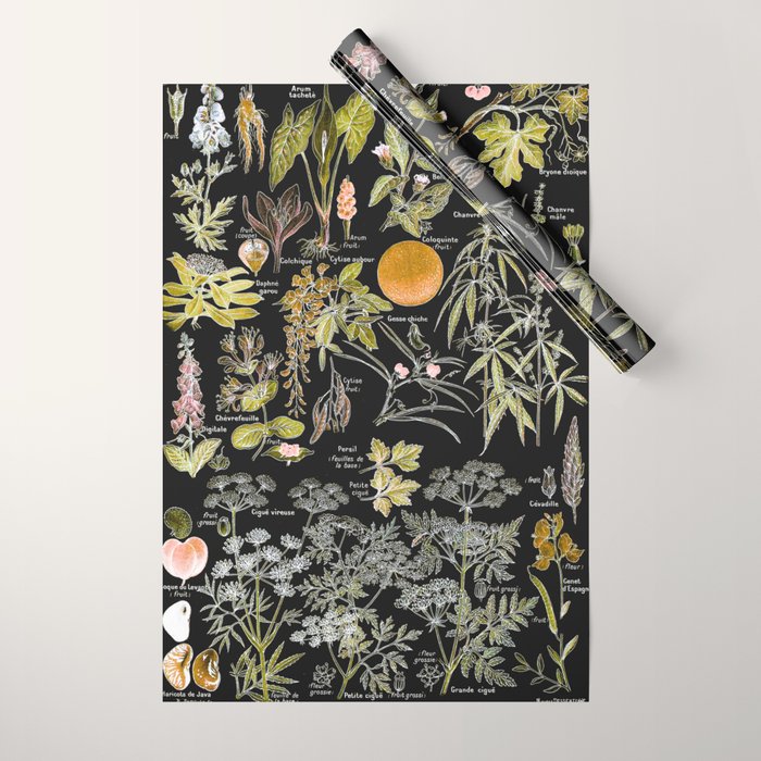 Adolphe Millot - Plantes dangereuses B (dangerous plants B) Wrapping Paper Gallery Image 1