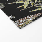 Adolphe Millot - Plantes dangereuses B (dangerous plants B) Welcome Mat Gallery Image 2