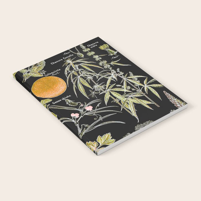Adolphe Millot - Plantes dangereuses B (dangerous plants B) Notebook Gallery Image 2