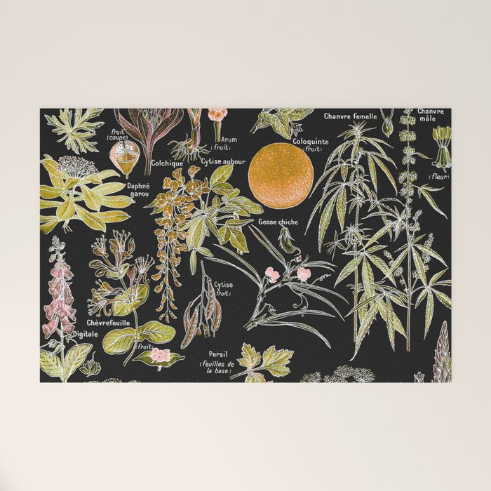 Adolphe Millot - Plantes dangereuses B (dangerous plants B) Welcome Mat Gallery Image 1
