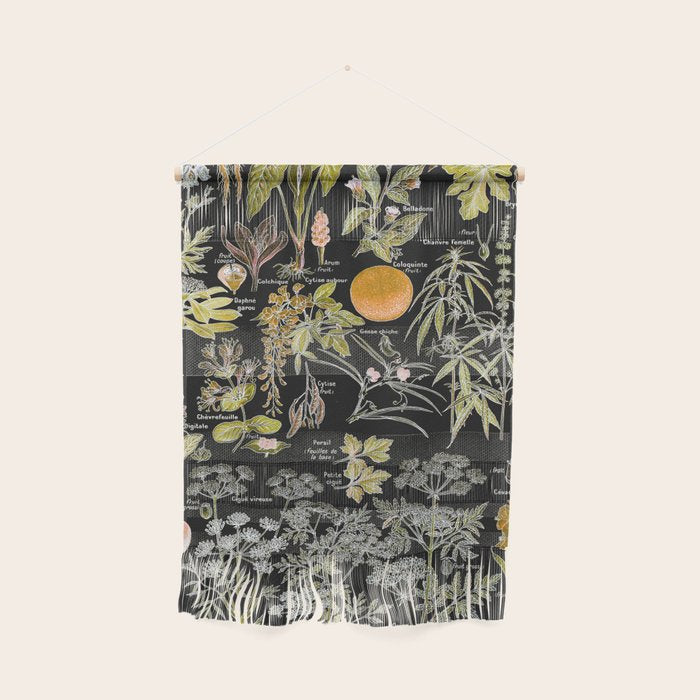 Adolphe Millot - Plantes dangereuses B (dangerous plants B) Wall Hanging Gallery Image 1