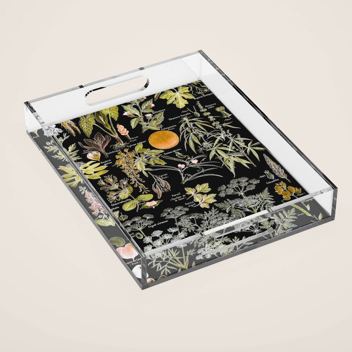 Adolphe Millot - Plantes dangereuses B (dangerous plants B) Acrylic Tray Gallery Image 1