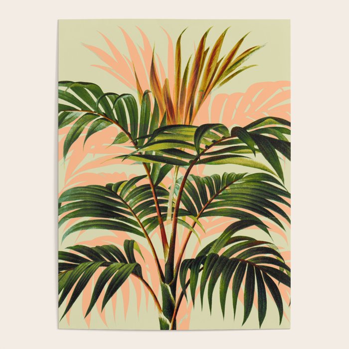 Botanical Collection 01-8 Poster Gallery Image 1