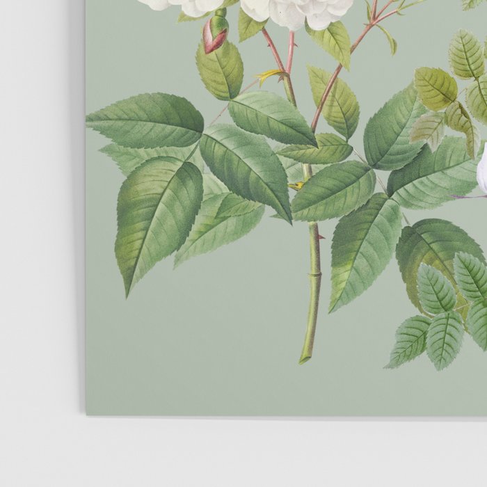 Purest Bloom Botanical Collage Poster Gallery Image 3