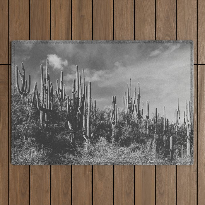 saguaro soiree Outdoor Rug Gallery Image 1