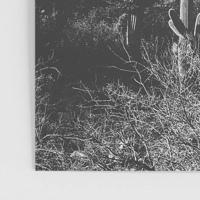 saguaro soiree Poster Gallery Image 3