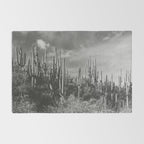 saguaro soiree Rug Gallery Image 2