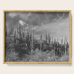 saguaro soiree Serving Tray Gallery Image 1