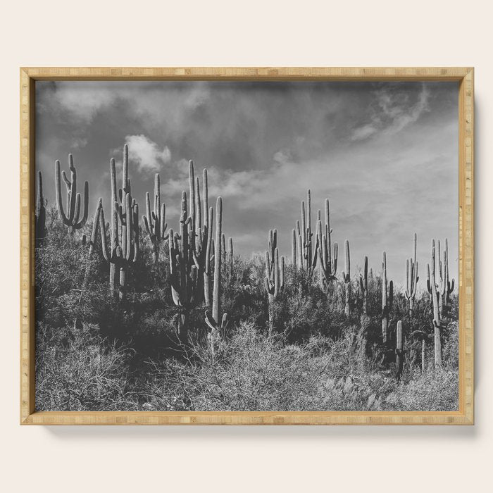 saguaro soiree Serving Tray Gallery Image 1