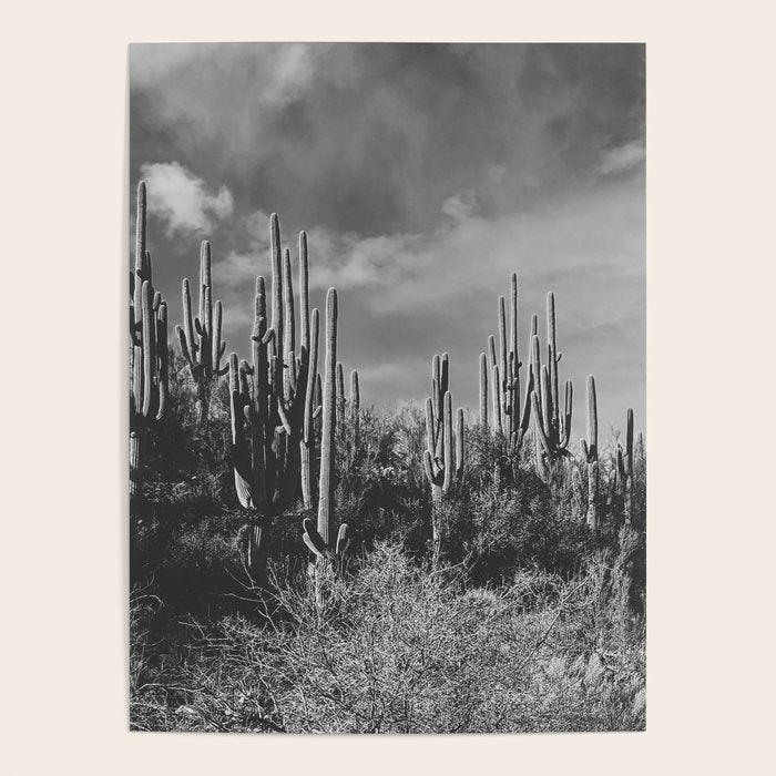 saguaro soiree Poster Gallery Image 1