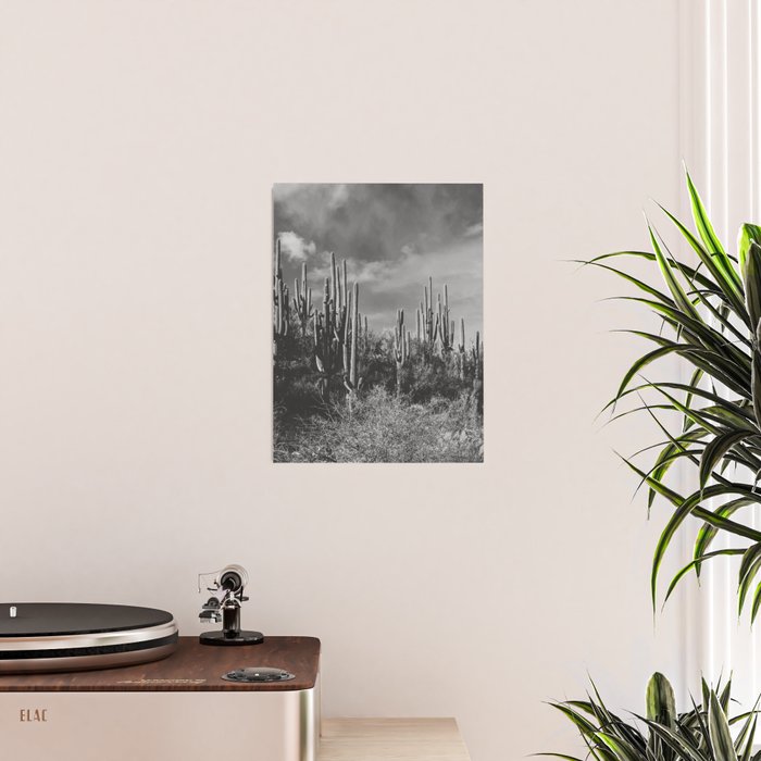 saguaro soiree Poster Gallery Image 2