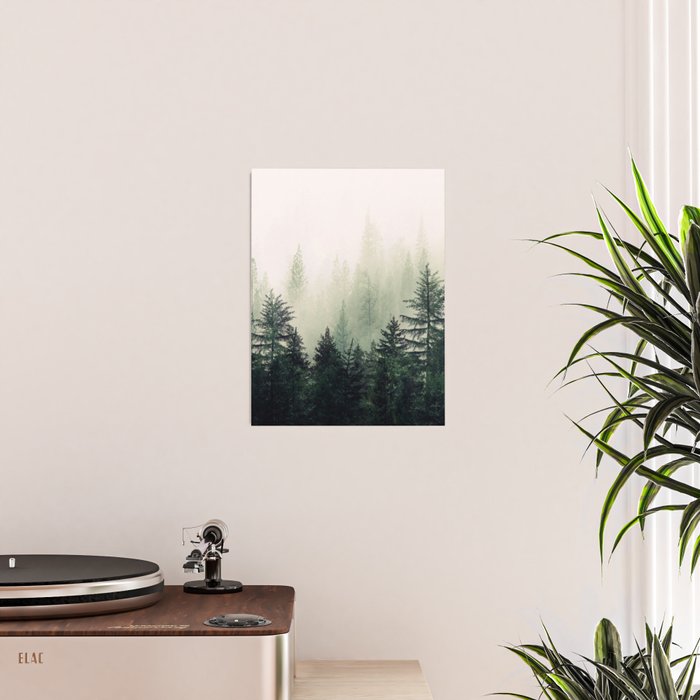 Foggy Pine Trees Poster Gallery Image 2