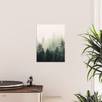 Foggy Pine Trees Poster Gallery Image 2