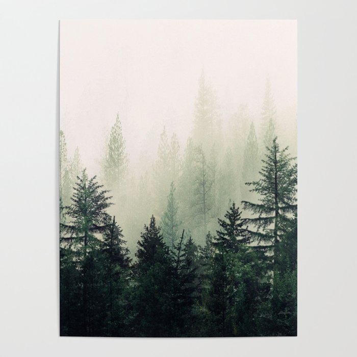 Foggy Pine Trees Poster Gallery Image 1