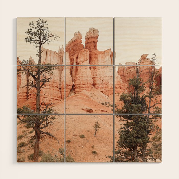 Landscape Of Bryce National Park Photo | Utah Nature Art Print | USA Digital Travel Photography Wood Wall Art Gallery Image 1