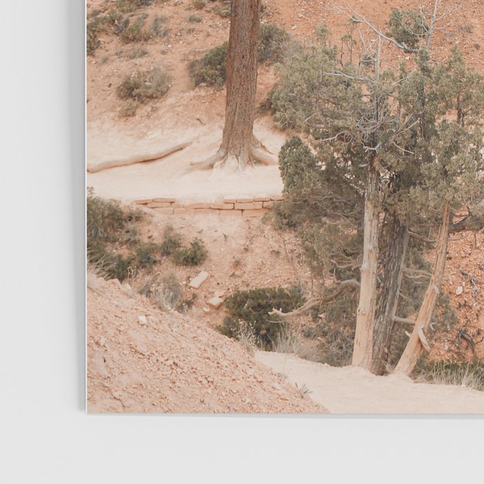 Landscape Of Bryce National Park Photo | Utah Nature Art Print | USA Digital Travel Photography Poster Gallery Image 3
