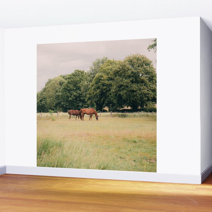 Cotswolds Horses in Rural Pasture Landscape Wall Mural Gallery Image 2