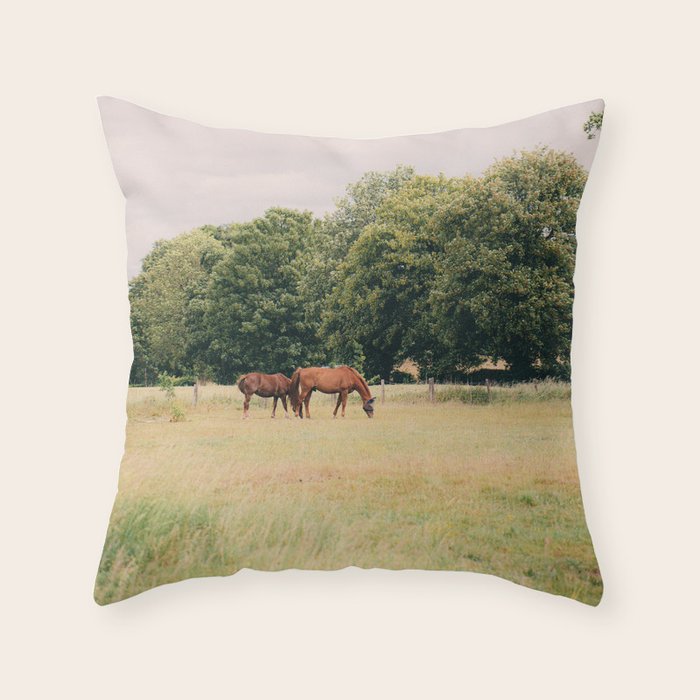 Cotswolds Horses in Rural Pasture Landscape Throw Pillow Gallery Image 1