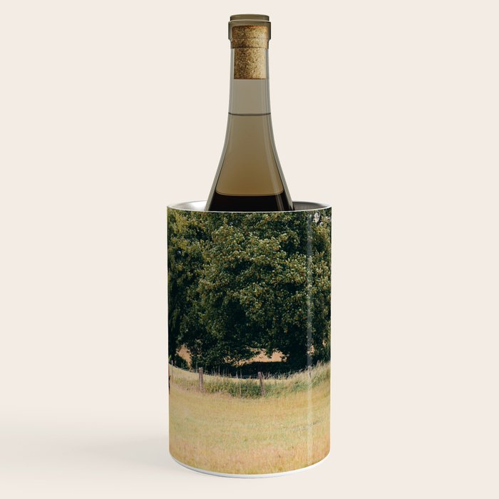 Cotswolds Horses in Rural Pasture Landscape Wine Chiller Gallery Image 3