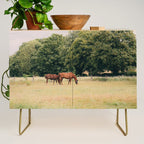 Cotswolds Horses in Rural Pasture Landscape Credenza Gallery Image 1