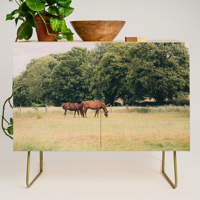 Cotswolds Horses in Rural Pasture Landscape Credenza Gallery Image 1
