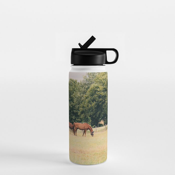Cotswolds Horses in Rural Pasture Landscape Water Bottle Gallery Image 1
