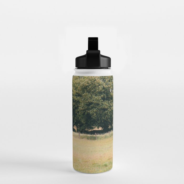Cotswolds Horses in Rural Pasture Landscape Water Bottle Gallery Image 2