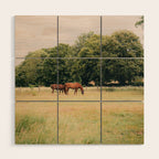 Cotswolds Horses in Rural Pasture Landscape Wood Wall Art Gallery Image 1