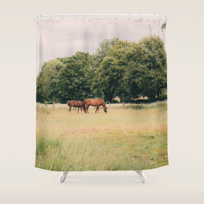 Cotswolds Horses in Rural Pasture Landscape Shower Curtain Gallery Image 1