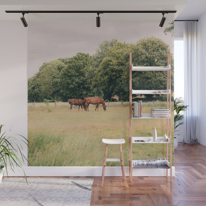Cotswolds Horses in Rural Pasture Landscape Wall Mural Gallery Image 1