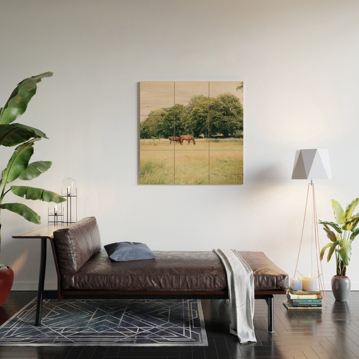 Cotswolds Horses in Rural Pasture Landscape Wood Wall Art Gallery Image 2
