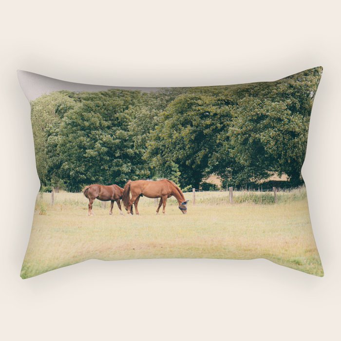 Cotswolds Horses in Rural Pasture Landscape Rectangular Pillow Gallery Image 2