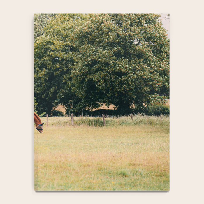 Cotswolds Horses in Rural Pasture Landscape Notebook Gallery Image 4