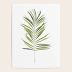 Palm Leaf Poster Gallery Image 4