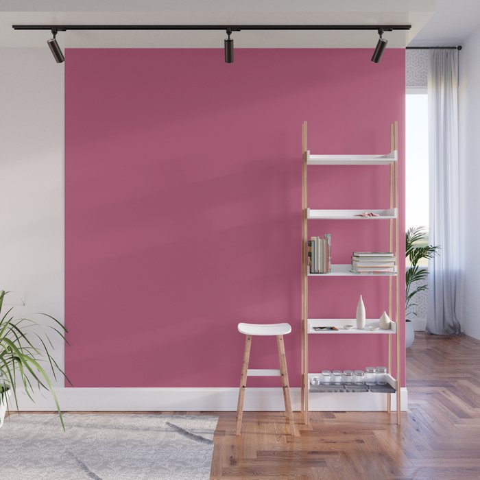 Rose Pink Solid Color Wall Mural Gallery Image 1