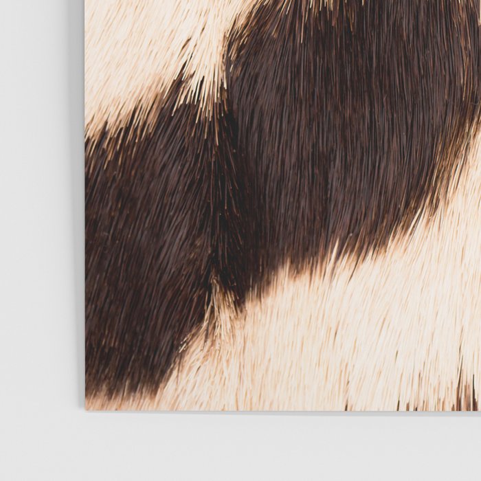 Zebra - zebra stripes -zebra skin - genuine - beautiful  Poster Gallery Image 3