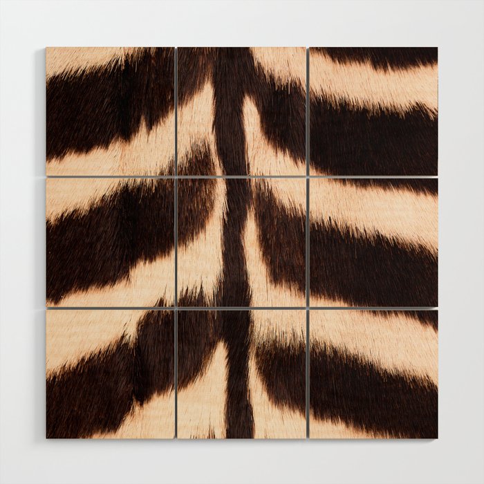 Zebra - zebra stripes -zebra skin - genuine - beautiful  Wood Wall Art Gallery Image 1