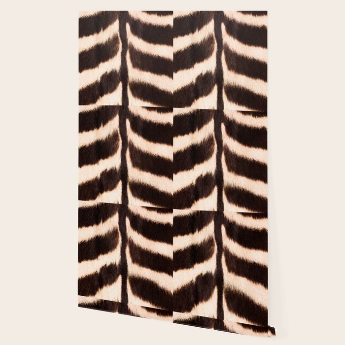 Zebra - zebra stripes -zebra skin - genuine - beautiful  Wallpaper Gallery Image 2
