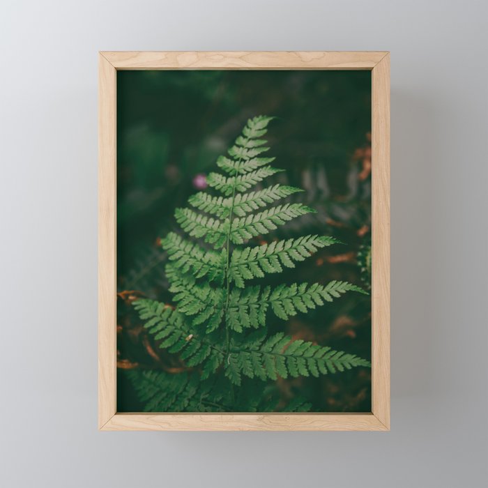 One Fern Mini Art Print Gallery Image 1