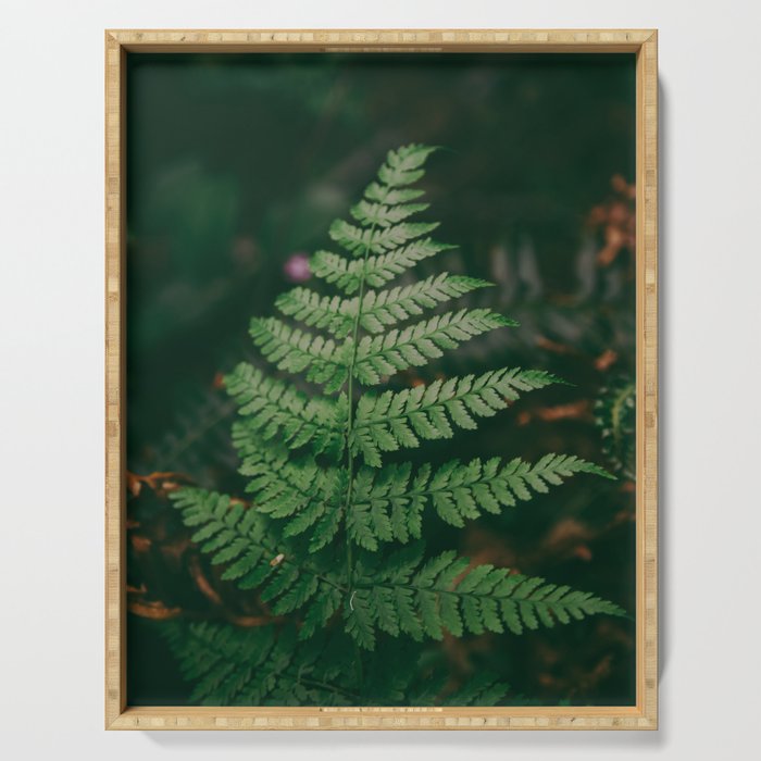 One Fern Serving Tray Gallery Image 1