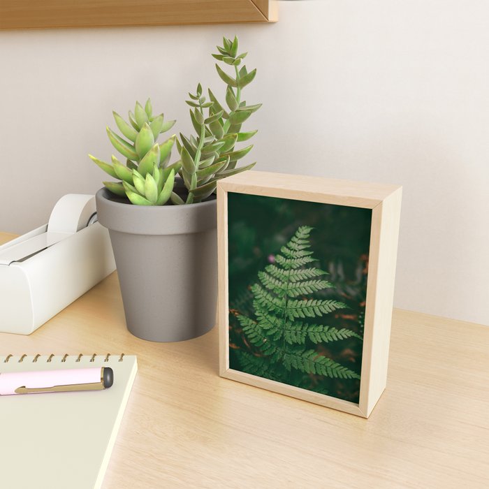 One Fern Mini Art Print Gallery Image 2