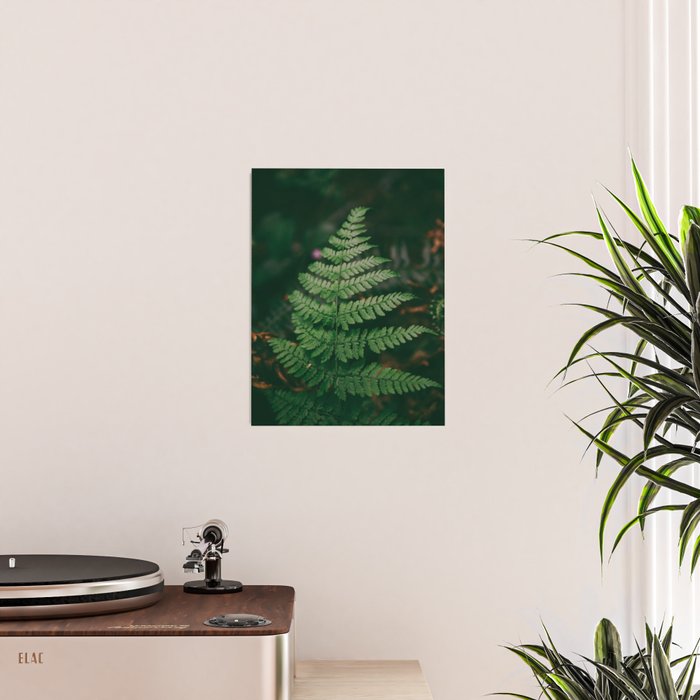 One Fern Poster Gallery Image 2