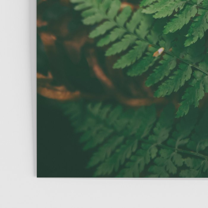 One Fern Poster Gallery Image 3