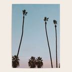 palm trees sunset vi  Poster Gallery Image 4